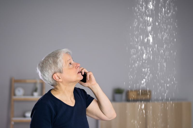 Products For Roof Leak Diagnosises in use