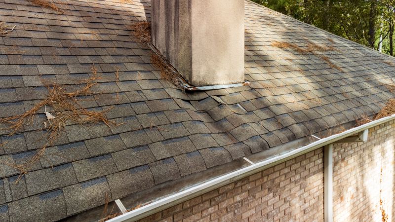 Roof Leak Diagnosis