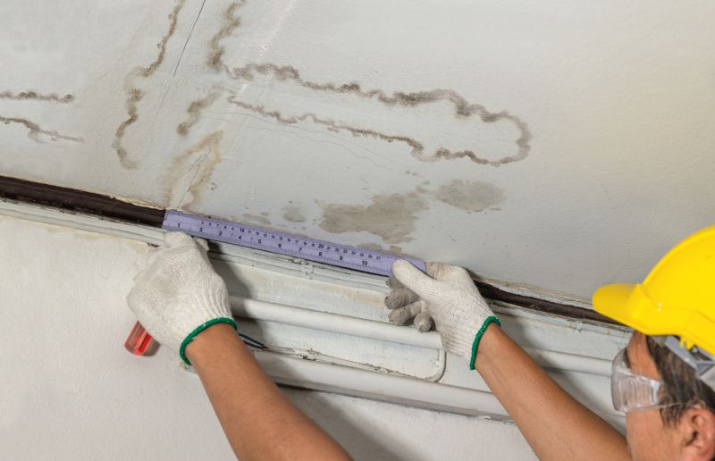 Roof Leak Diagnosis