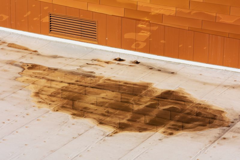 Roof Leak Diagnosis