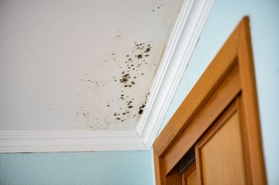 Avoid the Growth of Mold and Mildew!